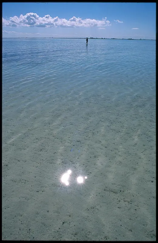 Why they are called flats - Even in this shallow and calm water we would encounter bonefish.