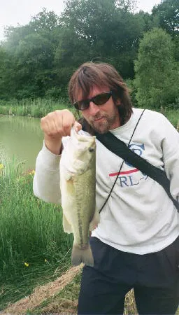 French black bass - Black bass in the Sologne region, France