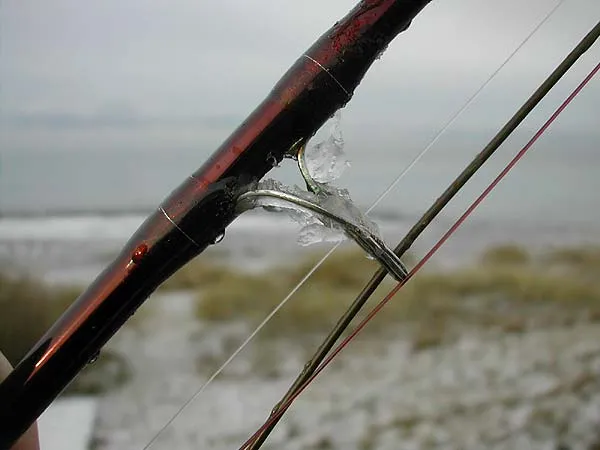 January 3rd - First trip of the year and it's coooold. But sea trout were caugth and fun was had.