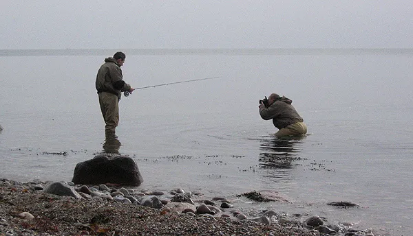 Kneeling - Get down in the water and close to your subject to capture better images.