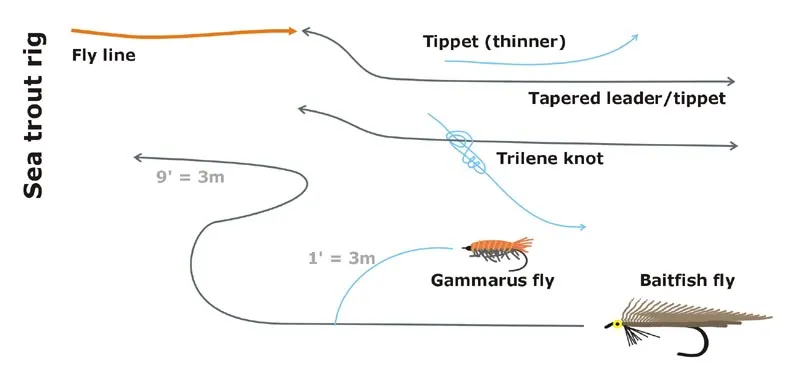 Sea trout rig - A large baitfish fly can be supplemented with a smaller fly on a sliding tag added on the leader just above the \"main\" fly