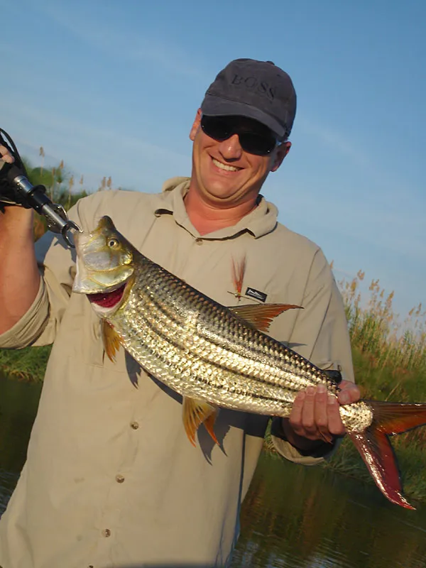 Tigerfish makes happy -
