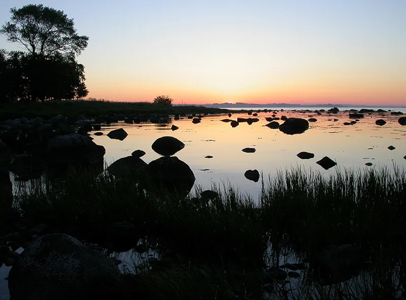 Morning magic -