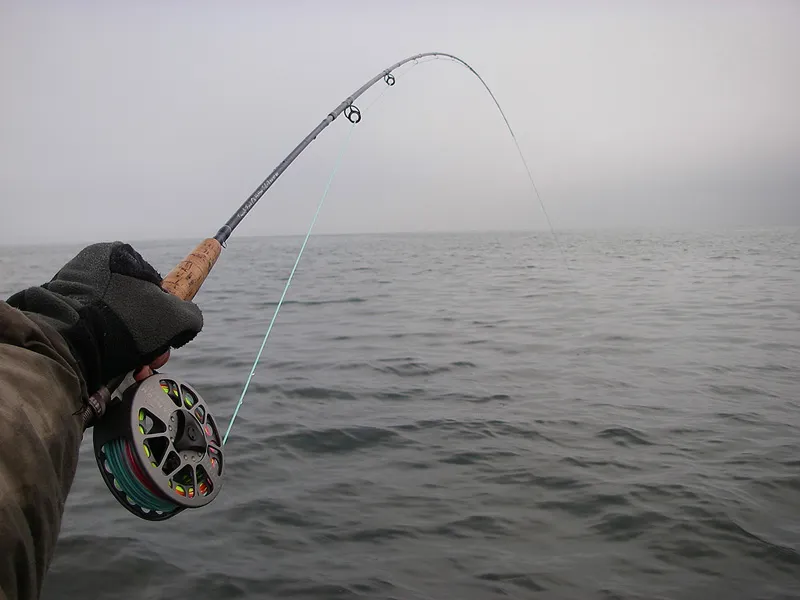 Testing the rod -