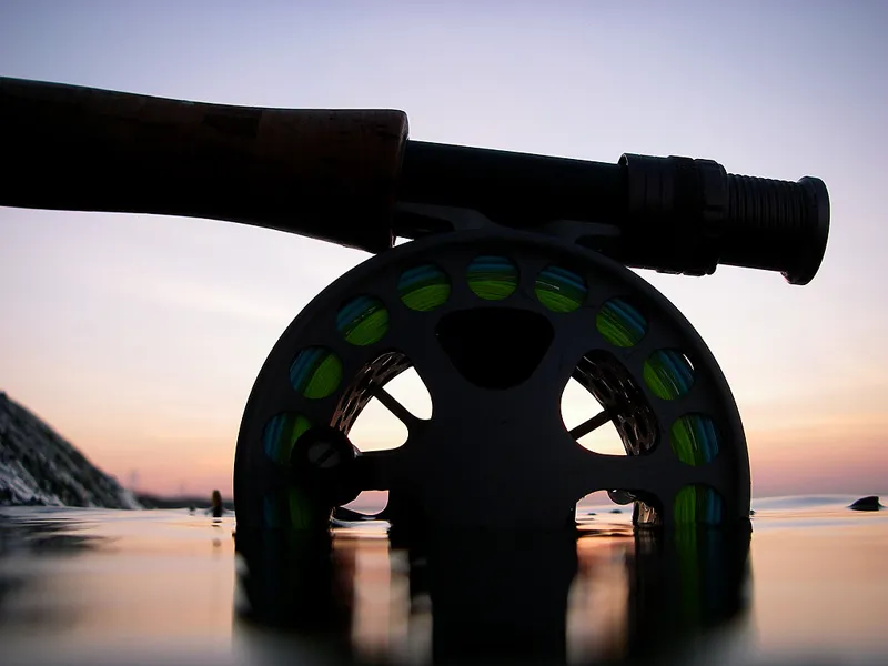 Reel low camera -