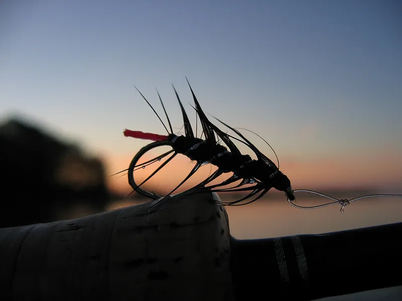 Black Zulu - one of my favorite flies for the late summer evening.
