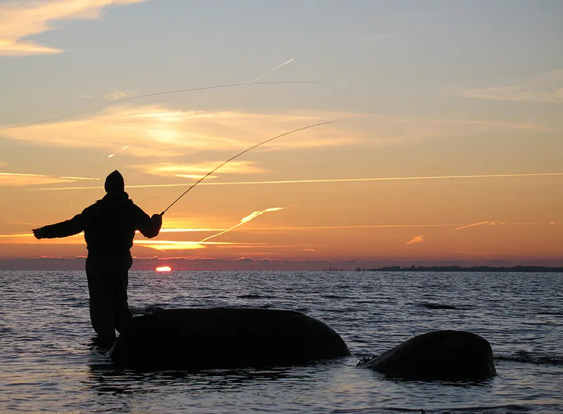 Good evening Sweden -