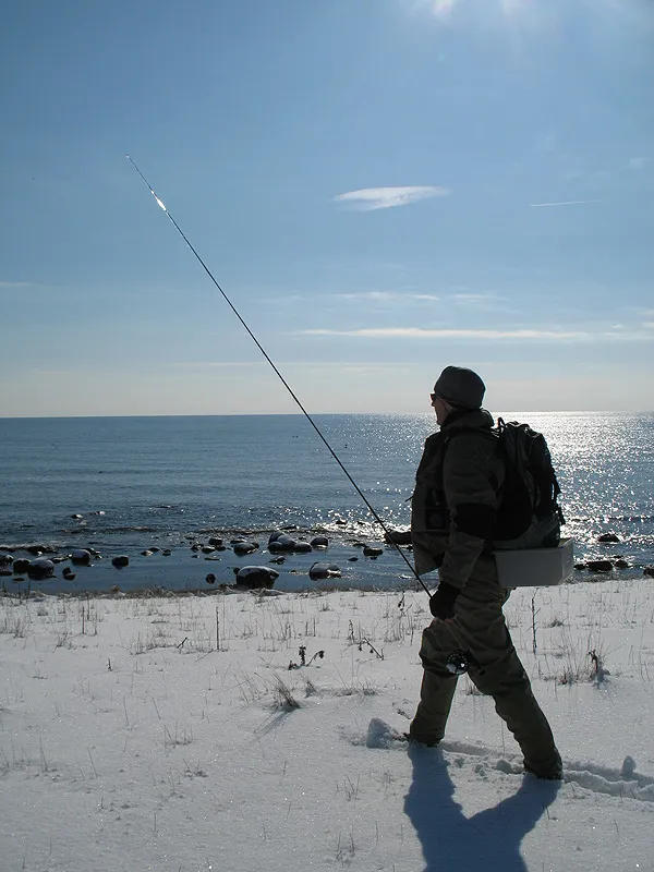 Winter and sun -