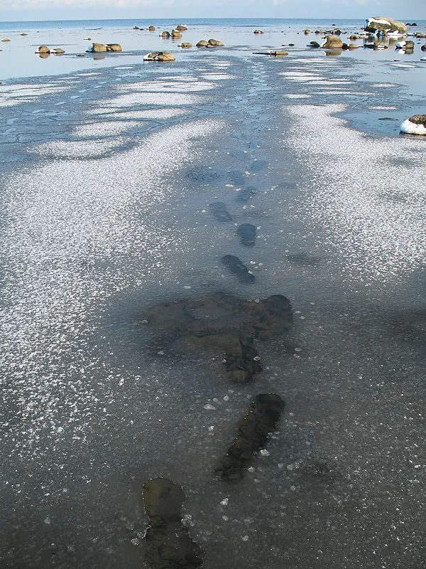 Viking's water -