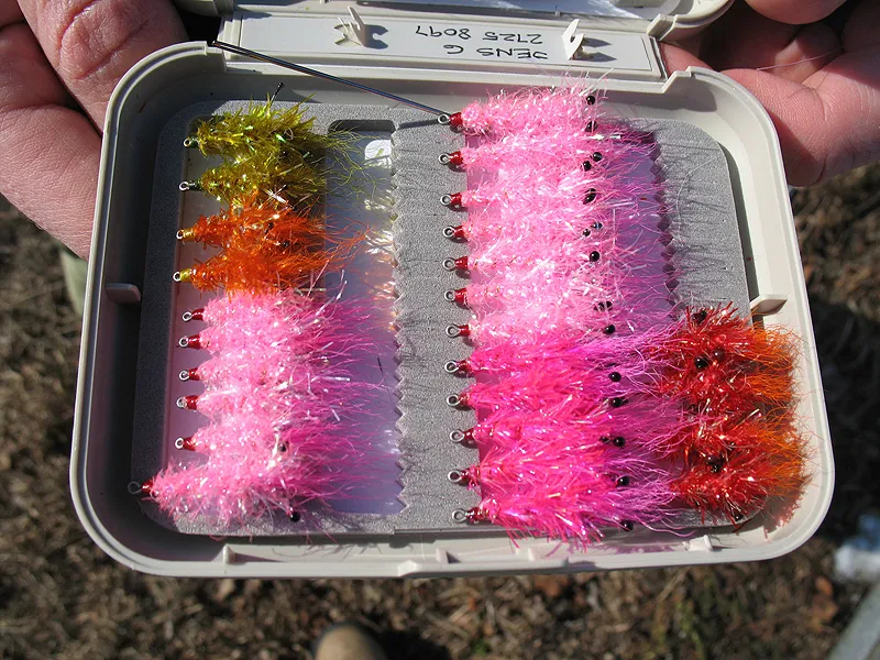 They come in pink! - Different Glimmer Shrimps