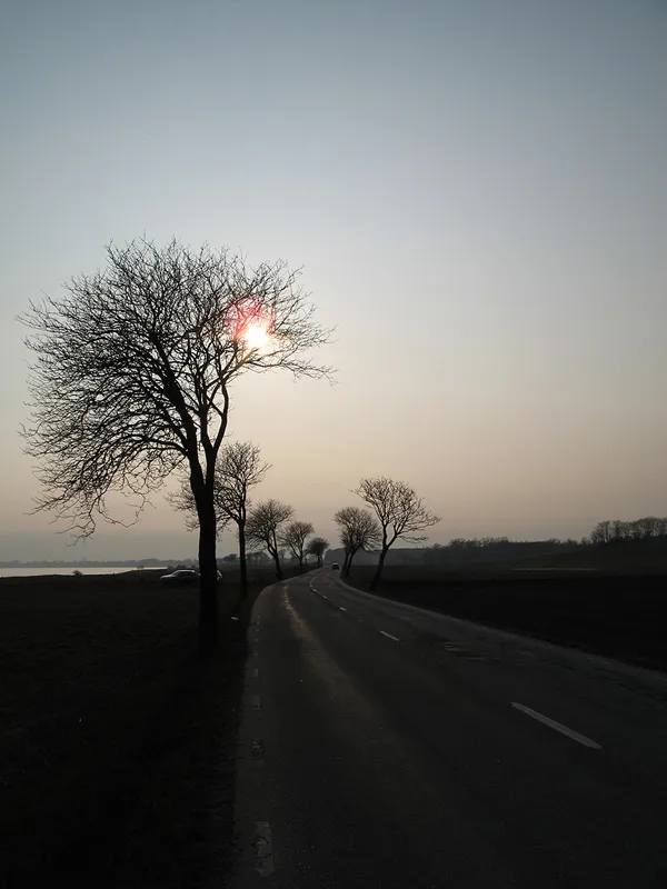 The road - following the coast line.