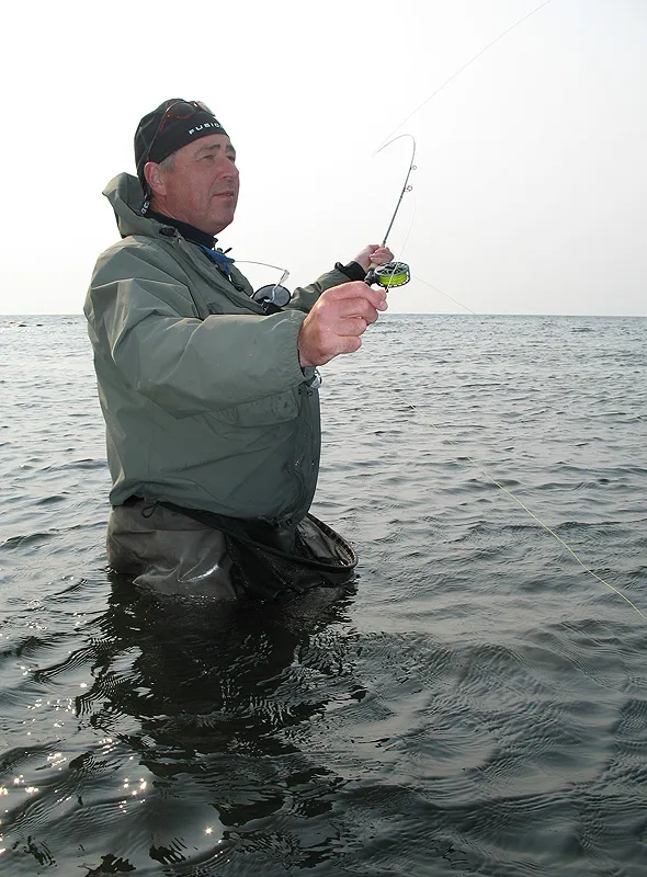 Henning tests - a new set-up.