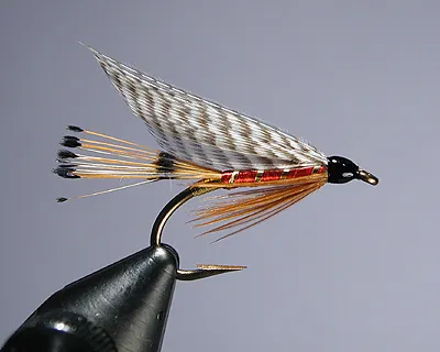 Abbey - Finding mallard flank to make a nice slip wing is difficult. You need to use those "side" feathers that are essentially one sided, with the good side having solid web all the way to the tips of the barbs. I sorted through a lot of flank to find a few feathers to use on these flies.