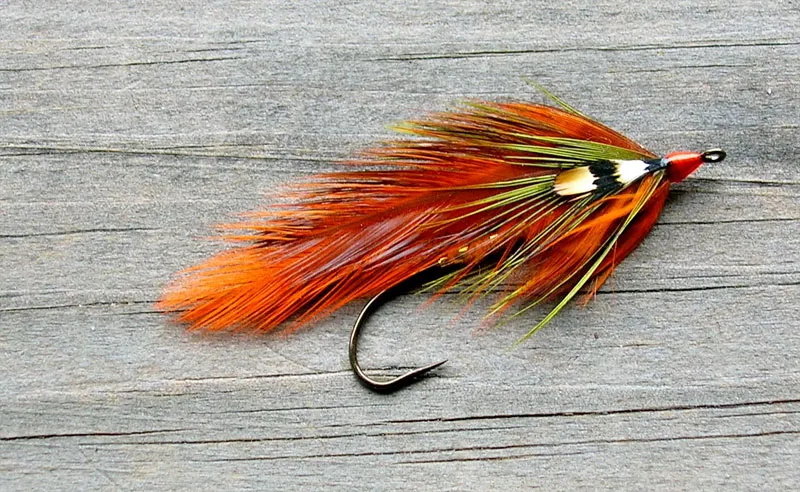 Autumn Delight -