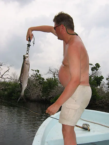 Baby - A typical small 3-4 lbs. or 1-1ý kilos baby tarpon from the magrove.