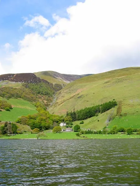 Welsh lake - The bank of the beautiful Tall-y-lynn lake.