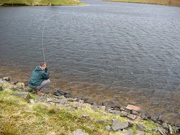 Lake bend - Paul's rod bent by a stocked rainbow.
