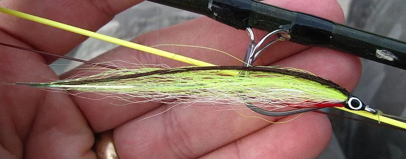 Fishing in New York Gallery - Bendback Streamer
