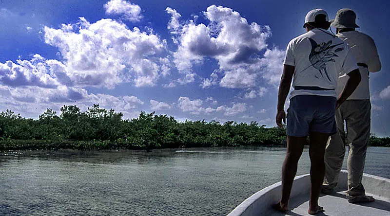 From the boat - Julern kicks off the fishing, and gets a great shot at a cruising bone approaching the boat. Too bad the fly ended up solid hooked into a mangroove tree on land.