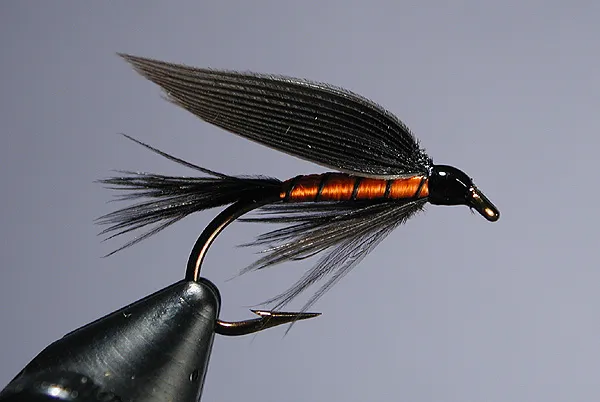 Black and Orange - This was supposed to be a Lord Baltimore, until I realized I forgot the jungle cock eye. As luck would have it, there was also a fly named the Black and Orange that match this recipe perfectly. Lucky me. Since my dyed black goose was more of a dark blue, I used natural crow quill for the wing. Looks nice.