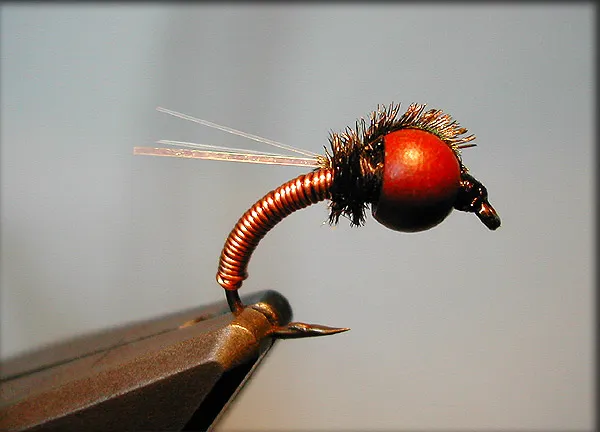 Blood Belly Nymph -