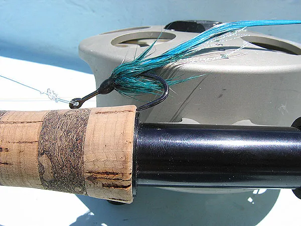 Tarpon fly - A typical tarpon fly: bare hook shank, hackle and splayed feathers.