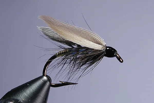 Blue Bottle - I never noticed this fly until I saw it on the cover of Don Bastian's DVD. It caught my eye and I thought I'd try my hand at a few. It's a real handsome pattern. I'm a sucker for flies with palmered hackles.