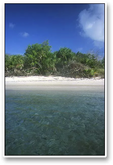 Bounty land - On some stretches the beaches are completely undisturbed and extremely beautiful.