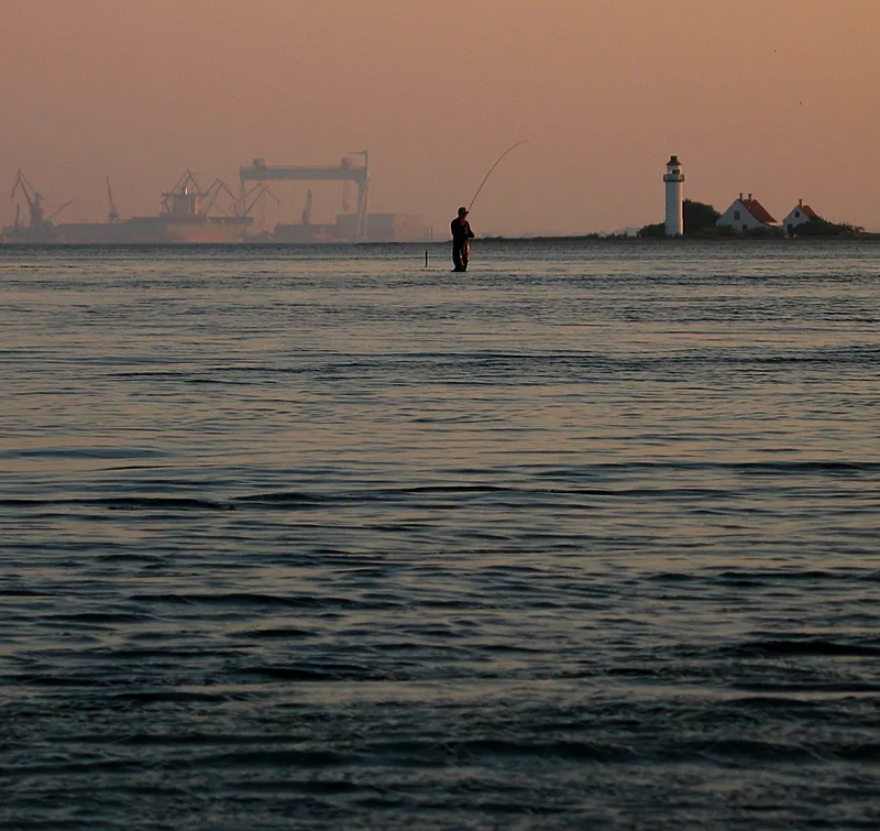 Large body of water - Fishing the ocean can be intimidating, but the fish are there as Branislav shows here