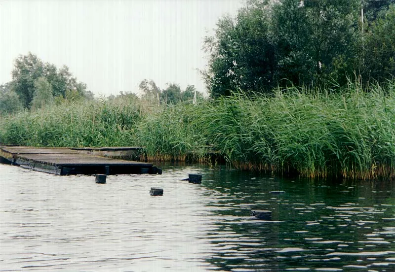 Shoreline - An old scaffold at "het Schildmeer". With a few stunts it's possible to reach this scaffold, which is a little rotted. It's better using a floattube or boat so you don't scare the fish.