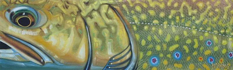 Brooktrout in brown and olive -