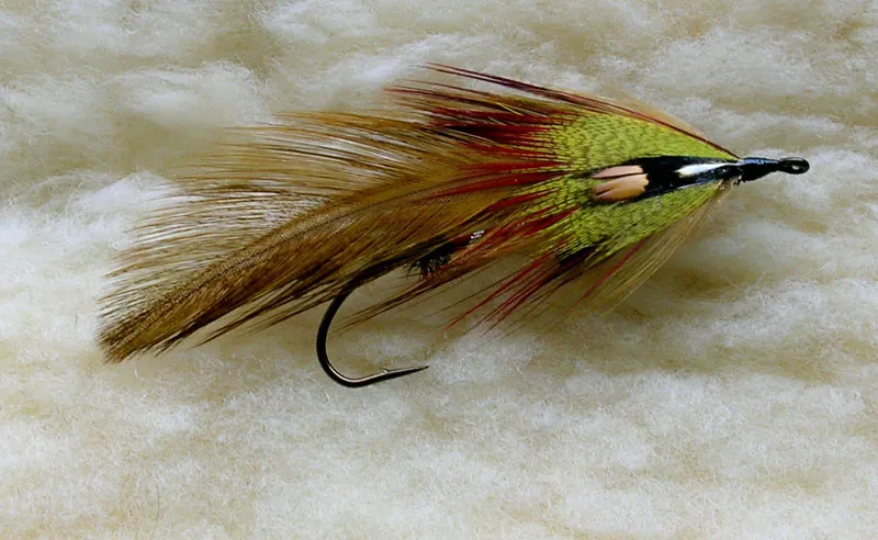 Brown Trout -