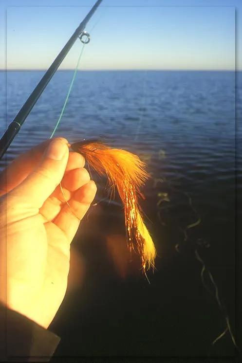 Orange bunny-piky-thingy - A typical and very productive yet unnamed fly consisting of orange rabbit skin, orange flash and a bacl hackle. It's not great fun to cast, but catching pike on it is OK...
