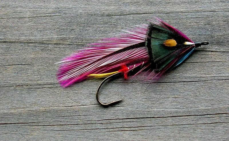 Cabin Creek -