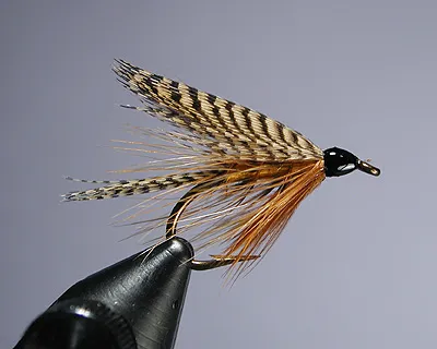 Catskill - When choose flies to tie from the book, I could not pass up a fly known as "Catskill", especially since it contains one of my favorite materials - lemon woodduck flank. Palmered hackle? Man - nice fly.