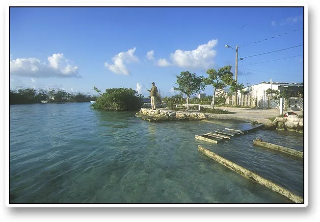 Channel - This channel cuts through the island Ambergris Caye just north of San Pedro, and should be able to produce fish. We cast there for half an hour, but felt nothing.