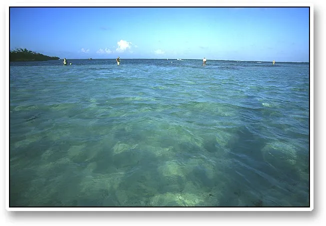 Flat by channel - The east mouth of the channel through Ambergris Caye is located right next to a very nice and large flat, which we all fished for a while.