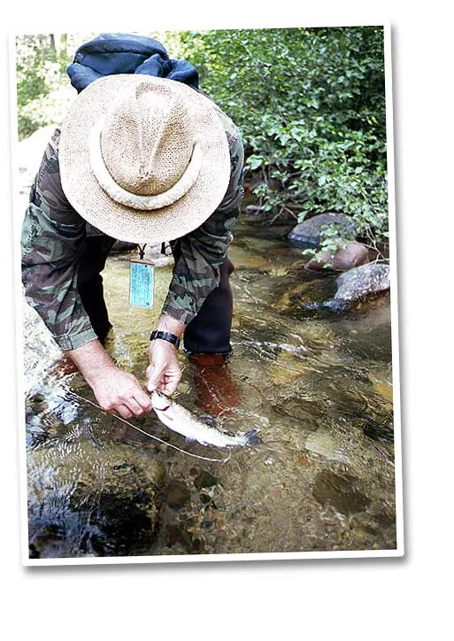 Clarks Creek - Clarks Creek fish are numerous and fairly small.