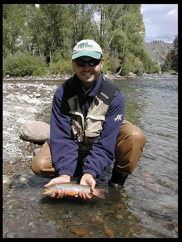 Taylor trout - Amongst the salmon in the Gunnison/Taylor there would be trout, probably feeding on the eggs from the salmon. Once in a while one would hit the fly.