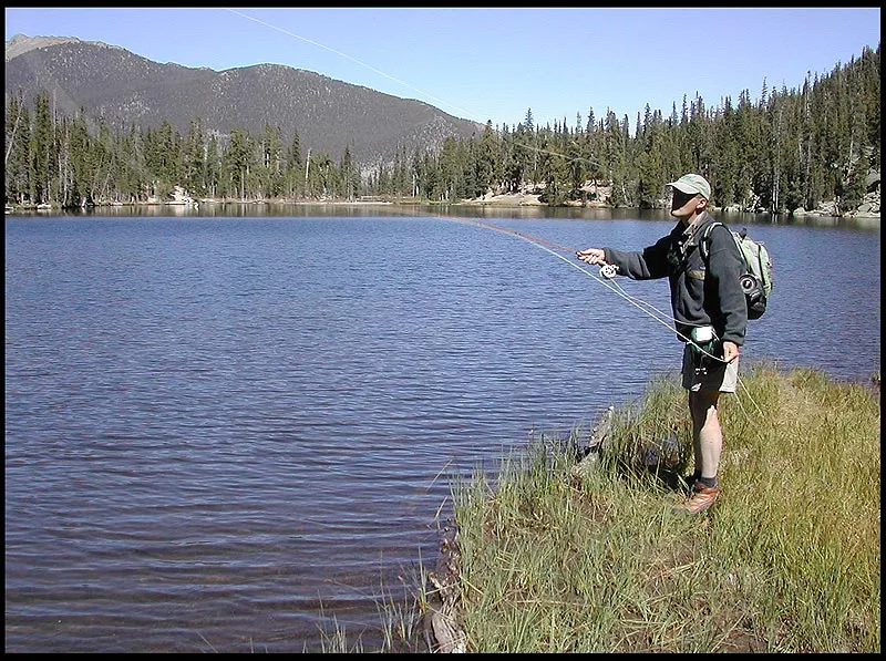 Greenback hunting - Only a few spots offered room for a back cast like this, which gave Martin the option to cast for fish a bit further away.
