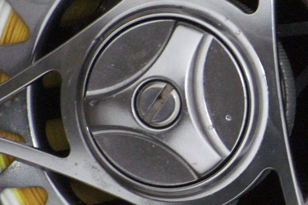 A detail - This 100% crop shows what amount of detail can be obtained in a picture if the camera is steady enough