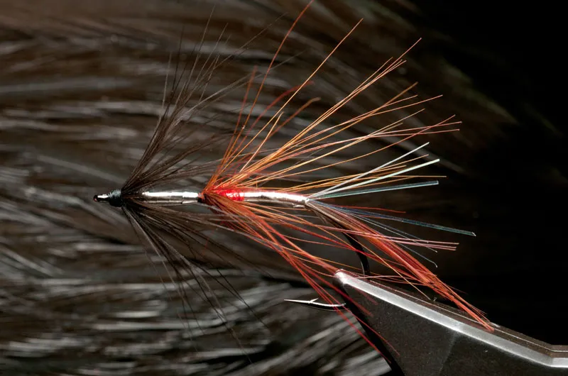 Djihad - Here tied on a large stinger hook. <a href=\"/patterns/djihad/\">See materials and full pattern description</a>.