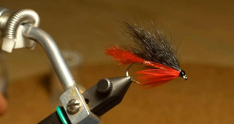 Bloody Butcher hairwing - A classical fly, modernized with hair and synthetics in stead of feathers for tail and wing
