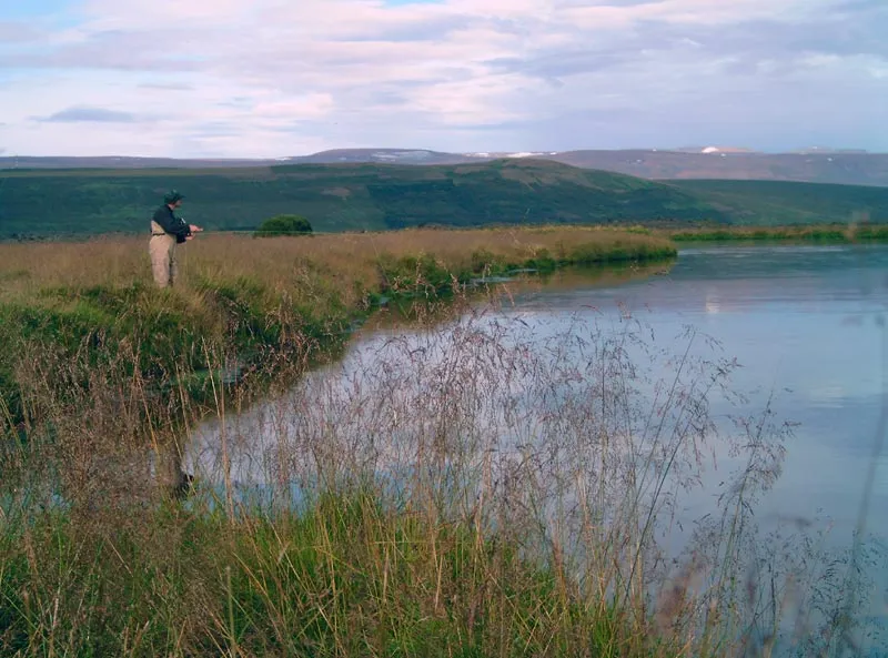 Dry fly sneaker - Casting a dry fly to working trout from the bank. Dry fly seemed to be much less productive than streamers or nymphs. It may well be because we fished too large flies. The fish are probably mostly rising to mosquitoes, which will call for a size 20 or smaller fly.