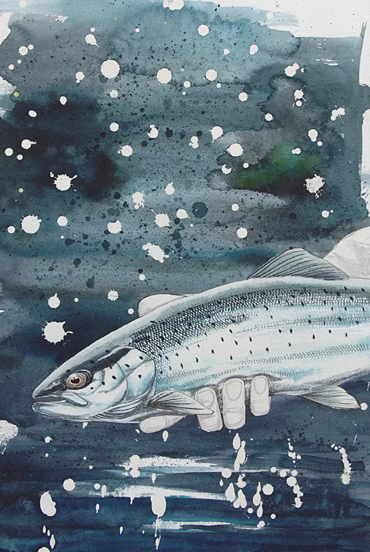 Sea trout -