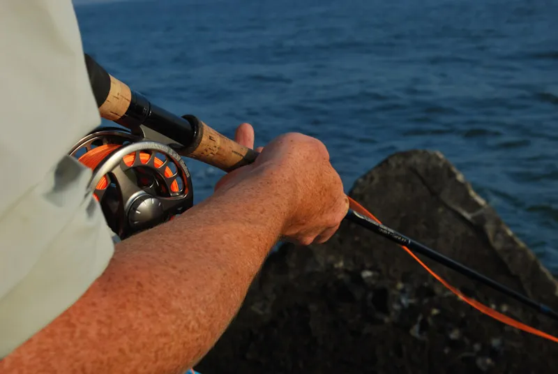 Sinking line - At drop-offs with current a heavy sinking line is necessary to bring your fly down.