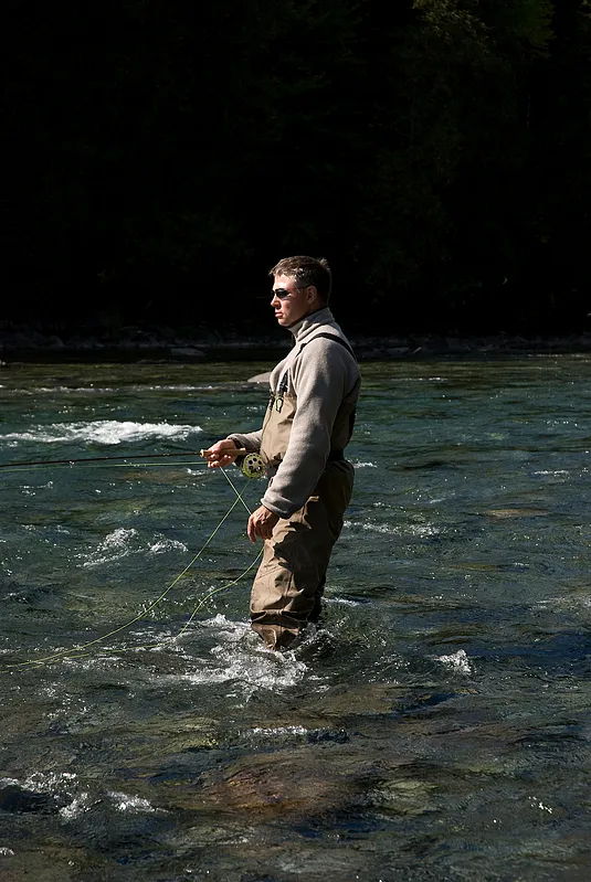 The fly is over the fish -