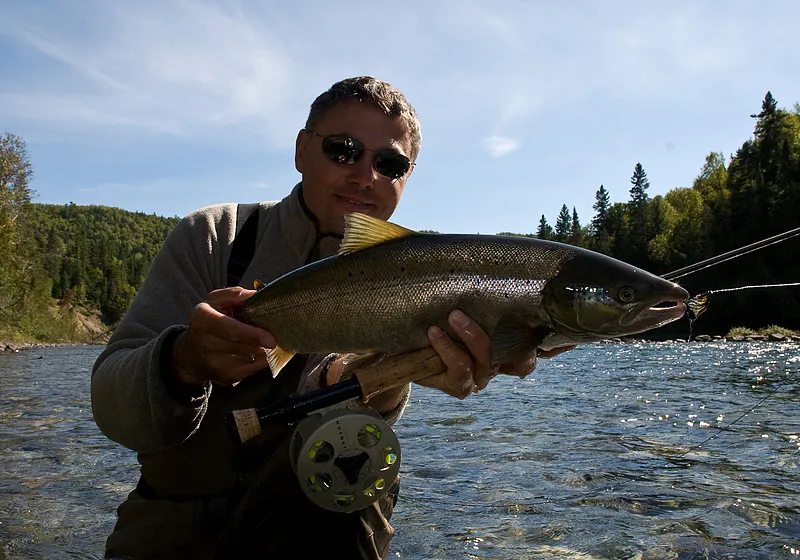 White water grilse -