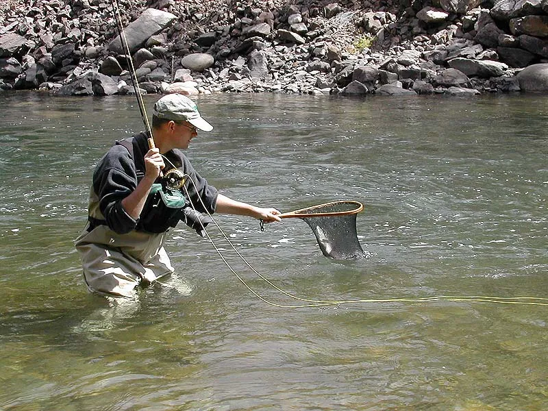 Another salmon - Yet another salmon in the net. We took most of the fish in a small run right in front of Martin, where the water was deep and the bottom paved with fish.