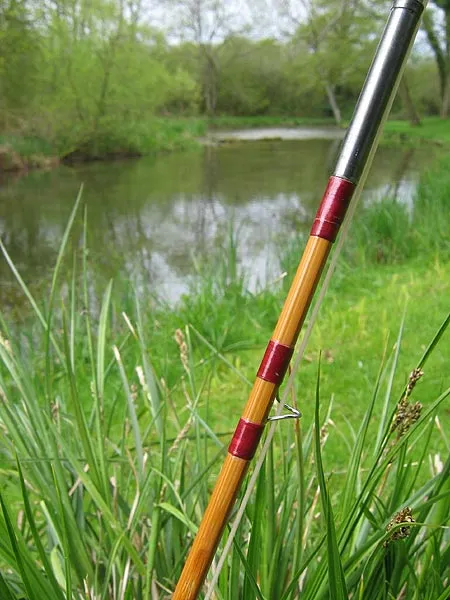 Cane on the Test - My Partridge cane rod posing in its proper environment: by an English chalkstream.